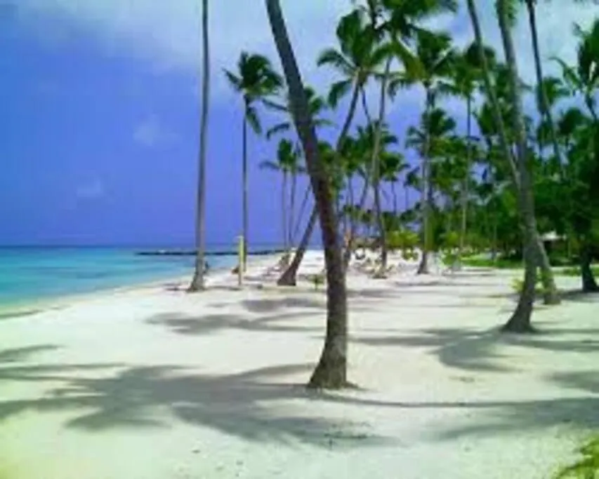 Villa Caracol Punta Cana 0*,